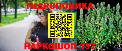 крисы Бузулук