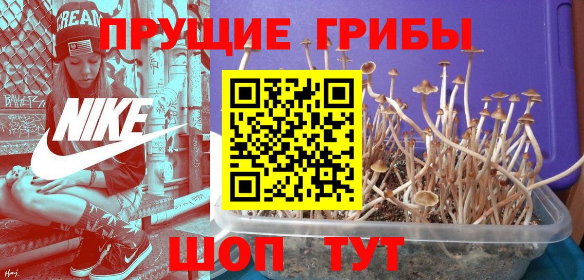 Конопля Советский