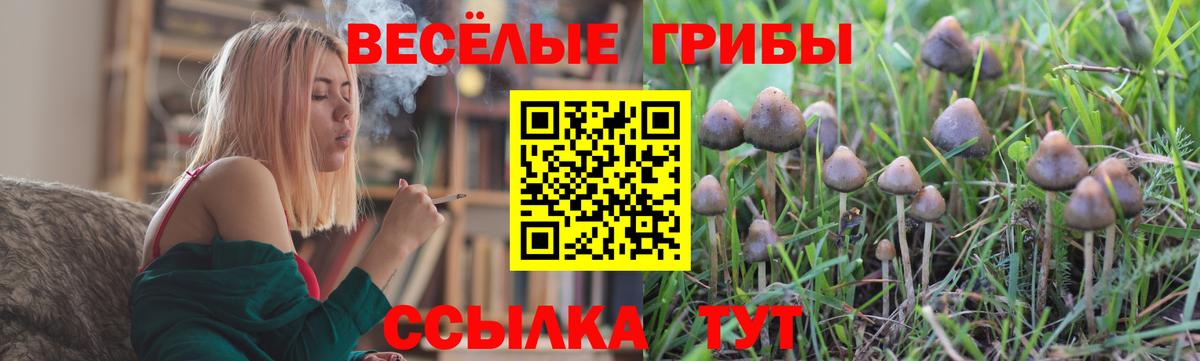 Галлюциногенные грибы мухоморы  Вход с VPN  Советский  Галлюциногенные грибы Magic Shrooms 